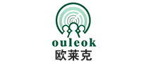 欧莱克ouleok机电仪器仪表标志logo设计,品牌设计vi策划