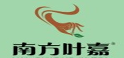南方叶嘉红茶标志logo设计