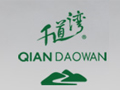 千道湾白茶白茶标志logo设计