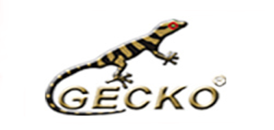 壁虎GEOCKO时钟标志logo设计,品牌设计vi策划