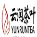 云润茶叶红茶标志logo设计