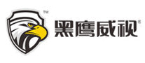 黑鹰威视监控设备标志logo设计,品牌设计vi策划