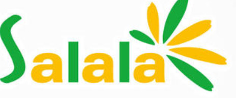 莎啦啦沙拉餐饮行业标志logo设计