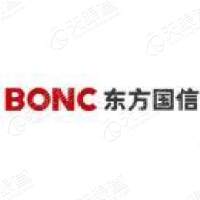 東方國信計算機應用logo設計，東方國信品牌vi設計