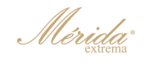 美丽达Merida吉他标志logo设计