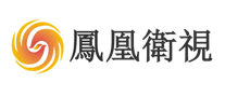 凤凰卫视标志logo设计_商务服务品牌vi设计