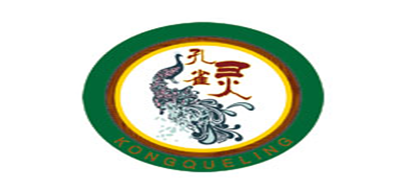 孔雀灵乐器标志logo设计
