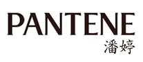 PANTENE潘婷标志logo设计_美发/护发品牌vi设计