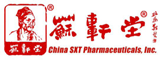 蘇軒堂標(biāo)志logo設(shè)計(jì),品牌vi設(shè)計(jì)策劃