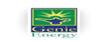 Genie Energy標(biāo)志logo設(shè)計(jì),品牌vi設(shè)計(jì)策劃