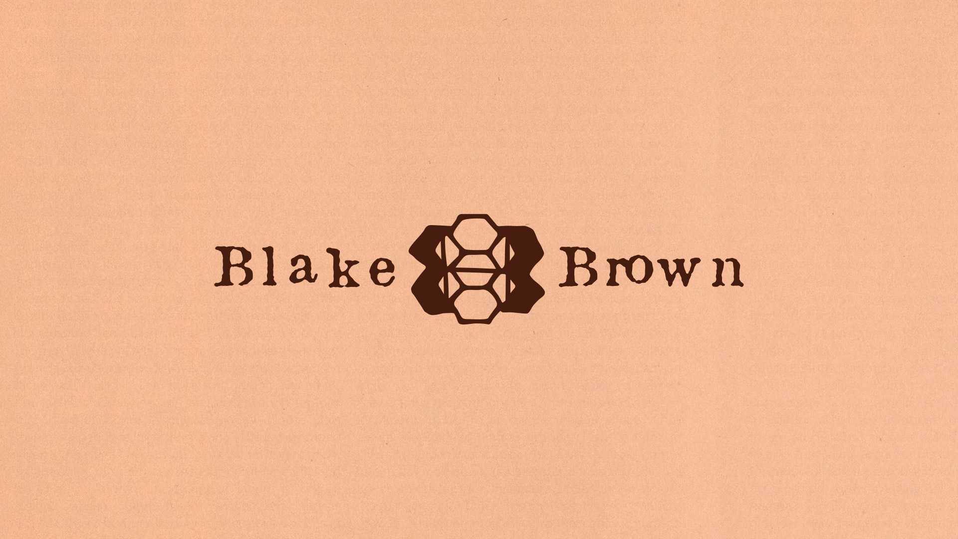 Blake Brown品牌形象設計：女演員布蕾克·萊弗利的護發(fā)新篇章